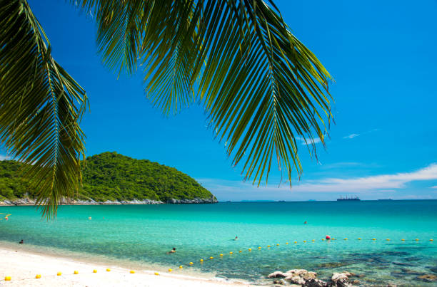 istock Wave & Sand beach background , holiday or relax in summer concept. 986465462