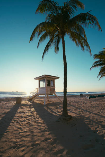 썬라이즈 in 포트로더데일, 플로리다 - fort lauderdale florida beach lifeguard 뉴스 사진 이미지