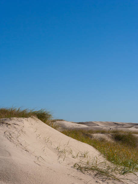 istock Grassy sand dune against clear blue sky 986475818