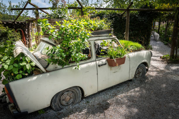 Old car used as decoration and flower pot in a garden