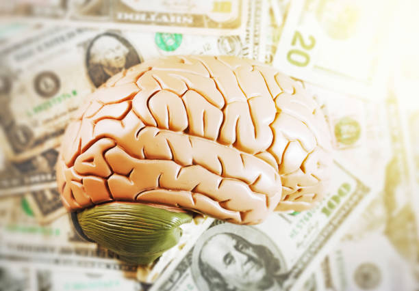 istock Business brain?  Model brain on many US dollars 986486778
