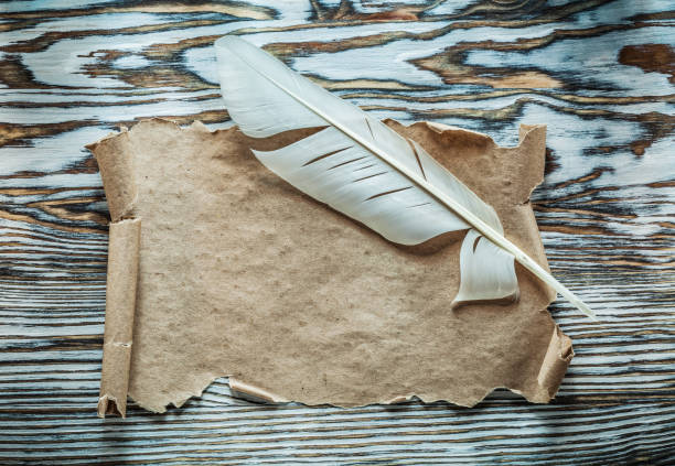 istock Vintage paper scroll plume on wooden board 986489702