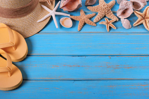 istock Tropical beach summer starfish flip flops background border 986491918