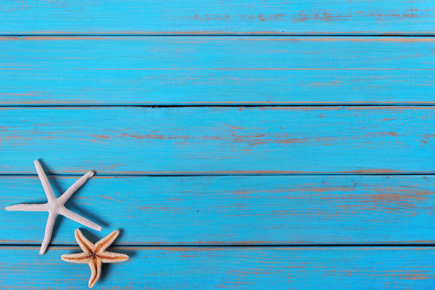 istock Starfish old weathered blue beach wood deck background 986495502