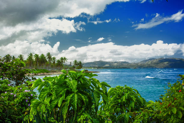 istock Amazing Caribbean landscape 986504424