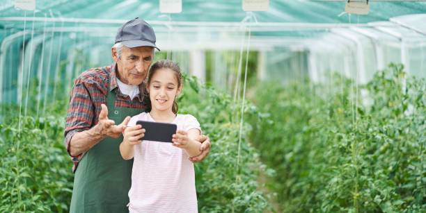 little girl and senior farmer in greenhouse using smartphone - casual granddaughter farmer expressing positivity imagens e fotografias de stock
