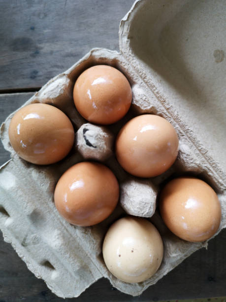 istock Fresh brown free-range chicken eggs in a cardboard paper tray box. 986510194