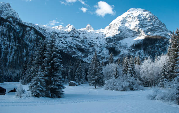 istock A wonderful winter landscape after the snowfall 986515754
