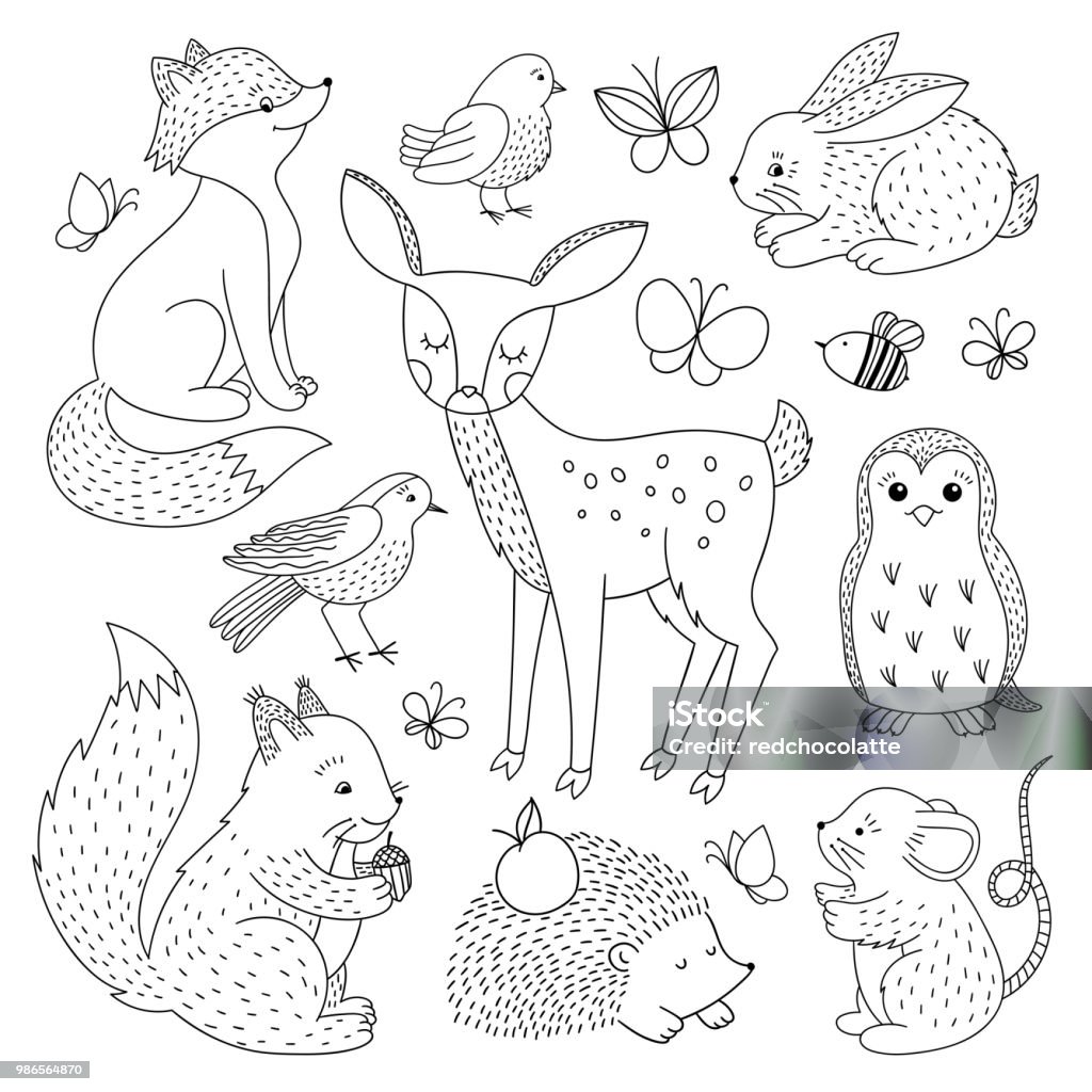 Forest Animals Set Cute Wild Animals Outline Hand Drawn Illustration Stock  Illustration - Download Image Now - iStock