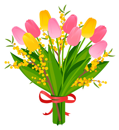 Bouquet of pink and yellow tulips and mimosa isolated on a white background.