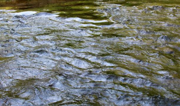 istock Water of Creek 986580940