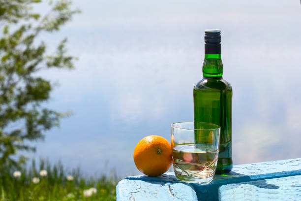 бутылка виски и стакан с апельсином на берегу озера - gin decanter whisky bottle стоковые фото и изображения