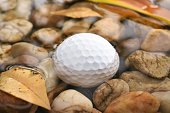 golfball-im-wasser.jpg?b=1&s=170x170&k=20&c=MRqTgbbpluikEjeLUPCa-nlmS1Sos5D-mBJ4zhUE6gs=