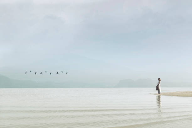 traveler woman looking at uncontaminated nature traveler woman looking at uncontaminated nature walking beach women sadness stock pictures, royalty-free photos & images