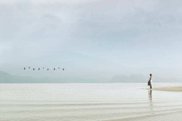 traveler woman looking at uncontaminated nature - afterlife imagens e fotografias de stock