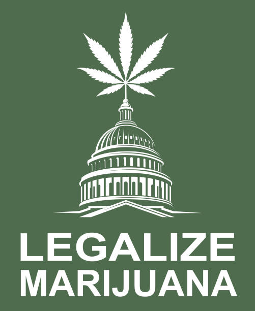 marijuana leaf on capitol illustration of marijuana or cannabis leaf on capitol building legalization stock illustrations