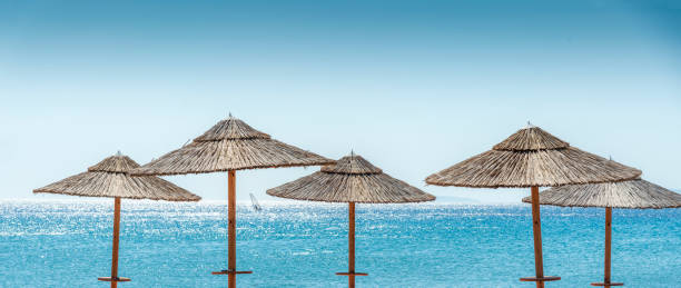 istock The sea and parasols at the Beach 986588704