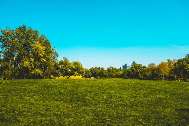 istock green park at budapest with copy space in the sky 986589564