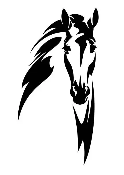 Vector illustration of horse head en face vector design