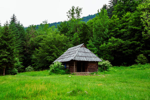 istock Old wooden hut on a green mountain meadow 986610520