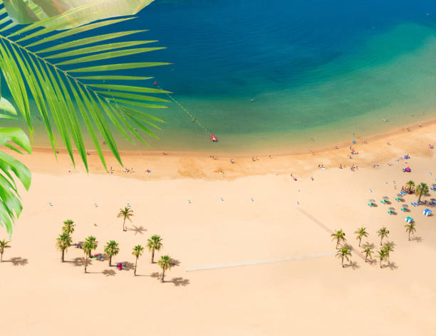 istock Las Teresitas beach, Tenerife 986614462
