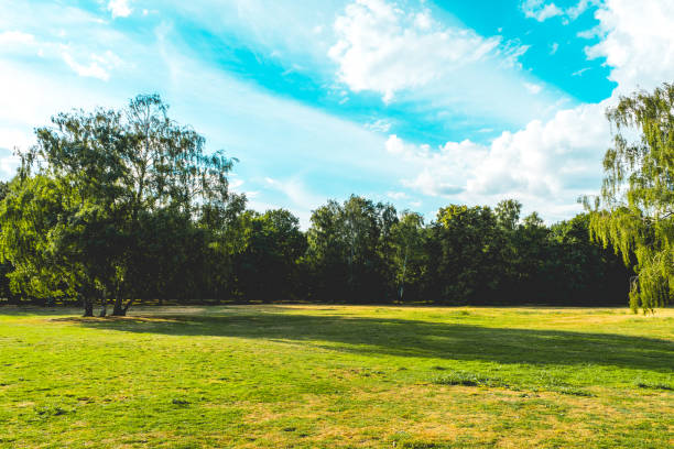 istock beautiful green park without any people at berlin, mitte 986614598