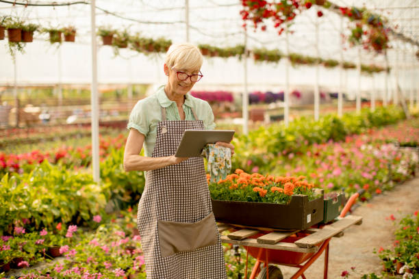 istock Senior woman using tablet in flower garden 986618280