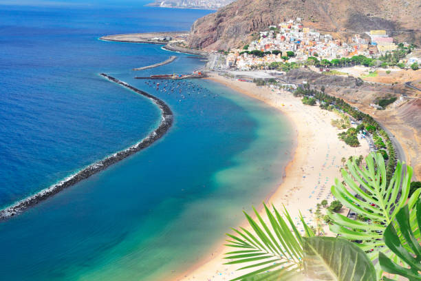 istock Las Teresitas beach, Tenerife 986624100