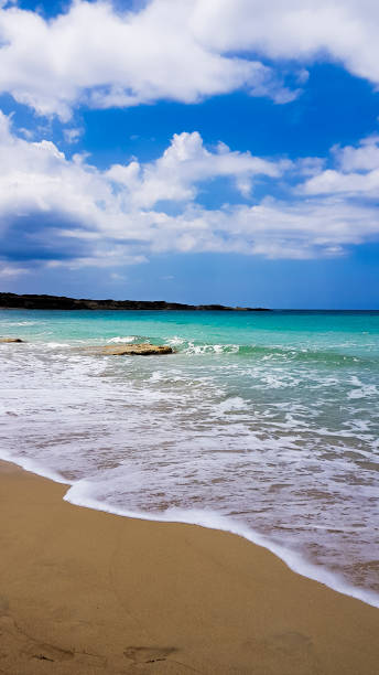 istock Scenic View Of Beach Against Cloudy Sky 986641646