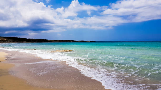 istock Scenic View Of Beach Against Cloudy Sky 986641674