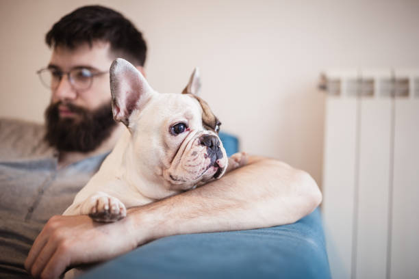 istock Handsome, hipster man sitting on the livingroom sofa with his dog, using laptop 986649634