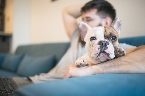 istock Handsome, hipster man sitting on the livingroom sofa with his dog, using laptop 986649638