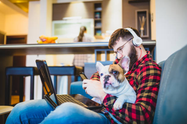 istock Handsome, hipster man sitting on the livingroom sofa with his dog, using laptop 986649664