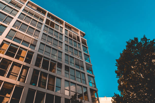 istock typical office building from the low angle view with darken sky and green tree on the side 986649672