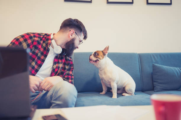 Handsome, hipster man sitting on the living room sofa with his dog, using laptop