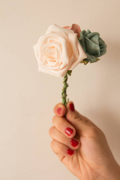 istock Woman hand holding a rose 986656142