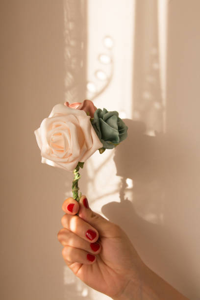 istock Woman hand holding a rose 986656288