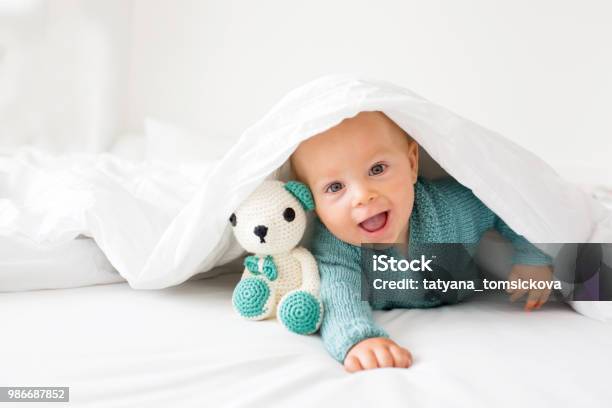 Little Cute Baby Boy Child In Knitted Sweater Holding Knitted Toy Smiling Happily At Camera Stock Photo - Download Image Now