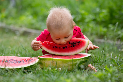 Cute toddler child, baby boy, eating ripe watermelon in garden, tasty fruits