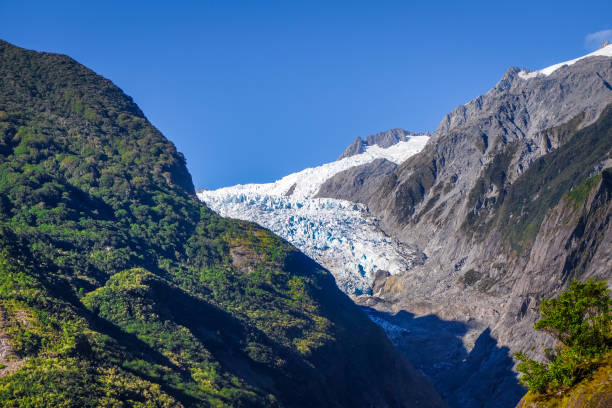 Franz Josef glacier, New Zealand Franz Josef glacier landscape, New Zealand franz josef glacier photos stock pictures, royalty-free photos & images