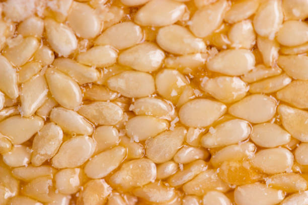Honey bars with sesame seeds. macro shot