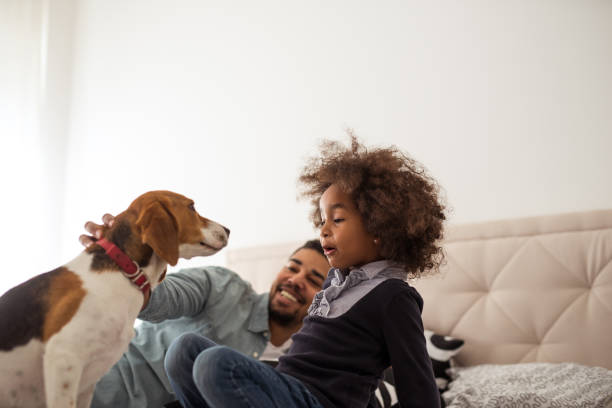istock She loves her pet 986712222