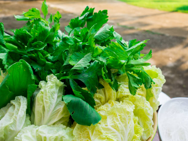 Vegatables set morning glory, chinese cabbage and celery.