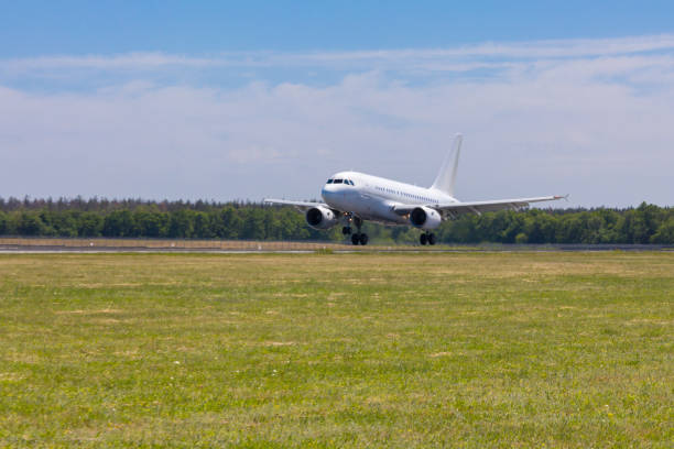 Airplane landing in the airport sunny summer day.