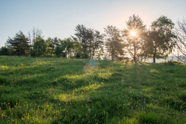 istock green meadow through which the sun shines with rays and blue sky, space for text 986732988