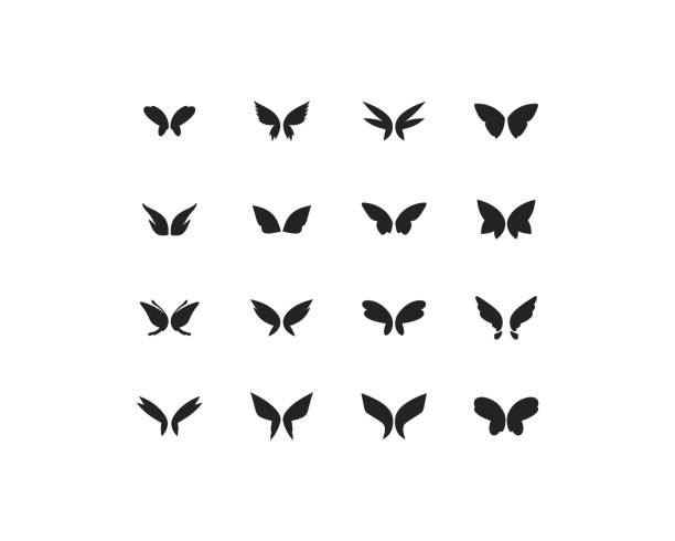 ilustraciones, imágenes clip art, dibujos animados e iconos de stock de conjunto de vectores de alas de mariposa de fantasía aislados en blanco - hada