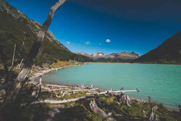 istock Emerald Lagoon, or Laguna Esmeralda,Ushuaia 986741162