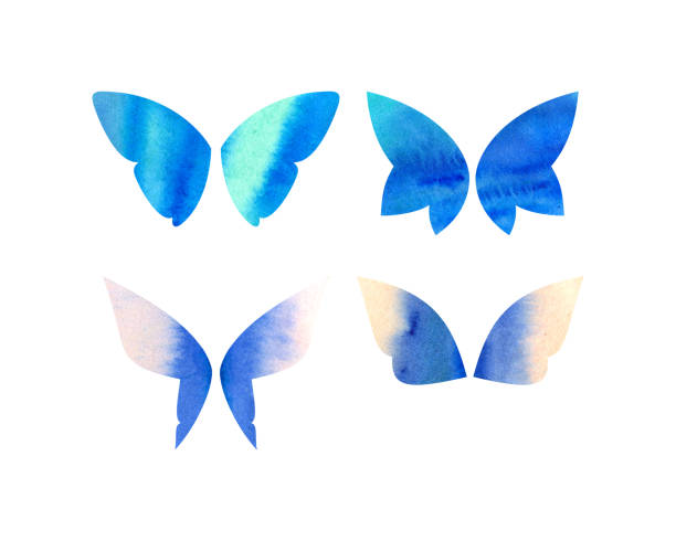 istock Set of butterfly wings with watercolor texture 986741312