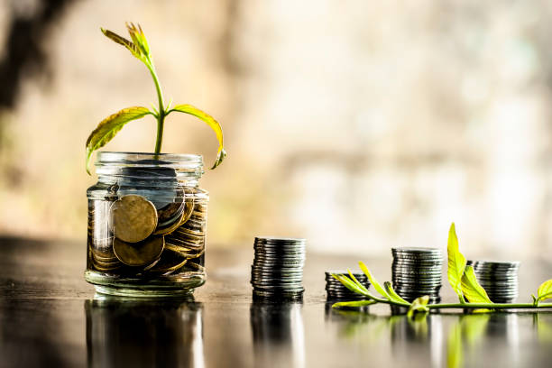 ein glas glas voller münzen und pflanzen durch es mit einigen münzen und blätter der pflanze wächst.  konzept der einsparungen, zinsen, festgeld, rente, sozialversicherung scheck. - mutual fund fotos stock-fotos und bilder