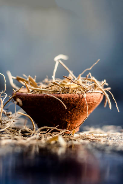 Dried vetiver grass or khus or Chrysopogon zizanioides grass in a clay bowl on wooden surface. stock photo